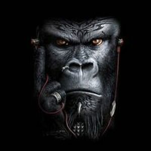 williamcwhite avatar