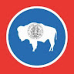 matthewcastle avatar