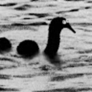 dogeeseseegod avatar