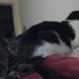 shirleyyoung36 avatar