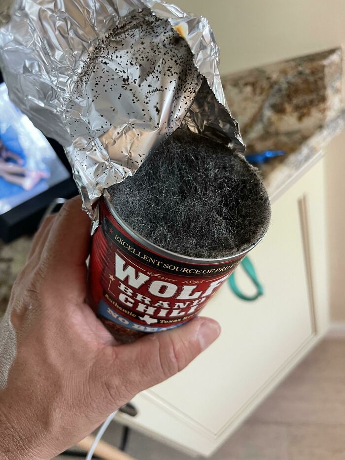 Forgot About A Can Of Wolf-Brand Chili In The Back Of Fridge And The Mold Growing Looks Like Wolf Hair