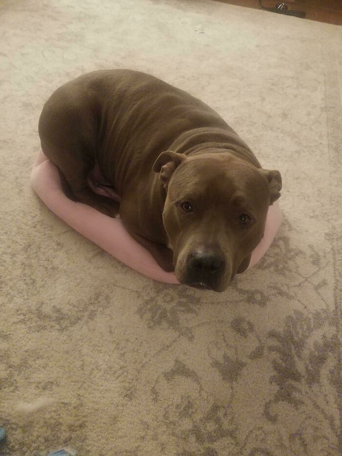 Of Course His Bed Is Two Feet To The Right...