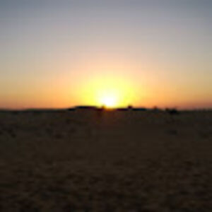 dariasidorenko avatar