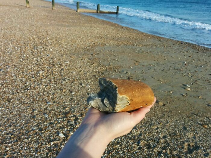 I Found A Stone At The Beach That Looks Like A Loaf Of Bread