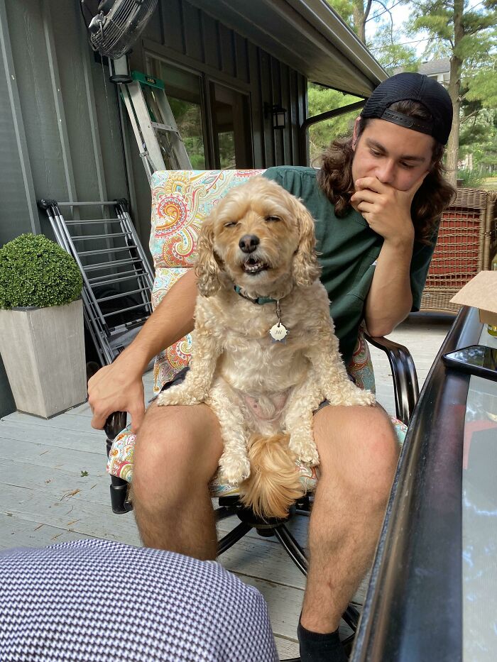 The Very Weird Way My Dog Is Sitting On My Son’s Lap