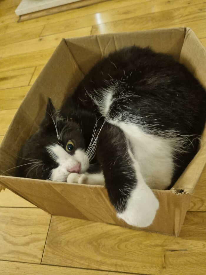 I Fits I Sits. Well, I Sort Of Fitted So I Sort Of Sitted!!