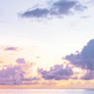 amandagawlowicz avatar