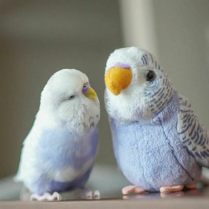a parrot looking at a toy parrot