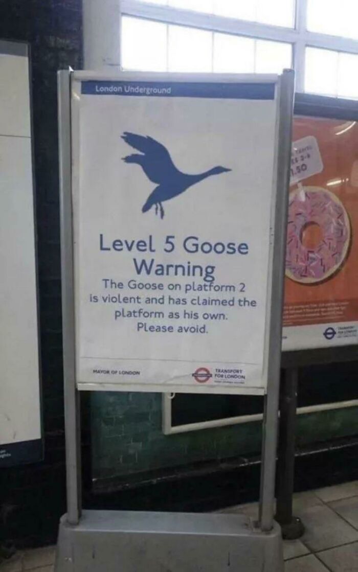 To Contain A Goose
