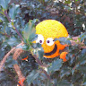 fredrikanorrbin avatar