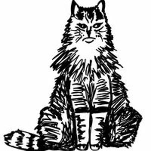 joaoeduardo90 avatar