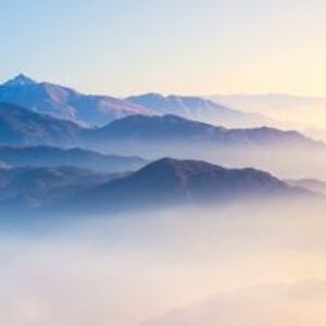 mary_anderson avatar