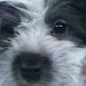 christinamonroe avatar