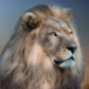 williambishop_1 avatar