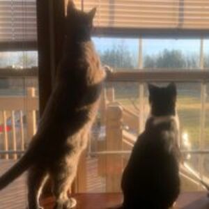 stephanie_valenta avatar