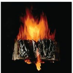 danelle_delongchamp avatar