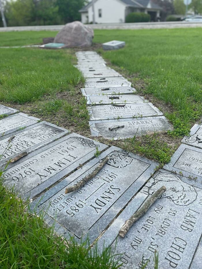 Someone Placed A Small Stick On Each Of The Dog Graves In This Cemetery