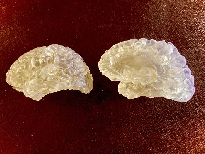 Received A 3D Printout Of My Brain After Volunteering Many Hours In An Fmri Study