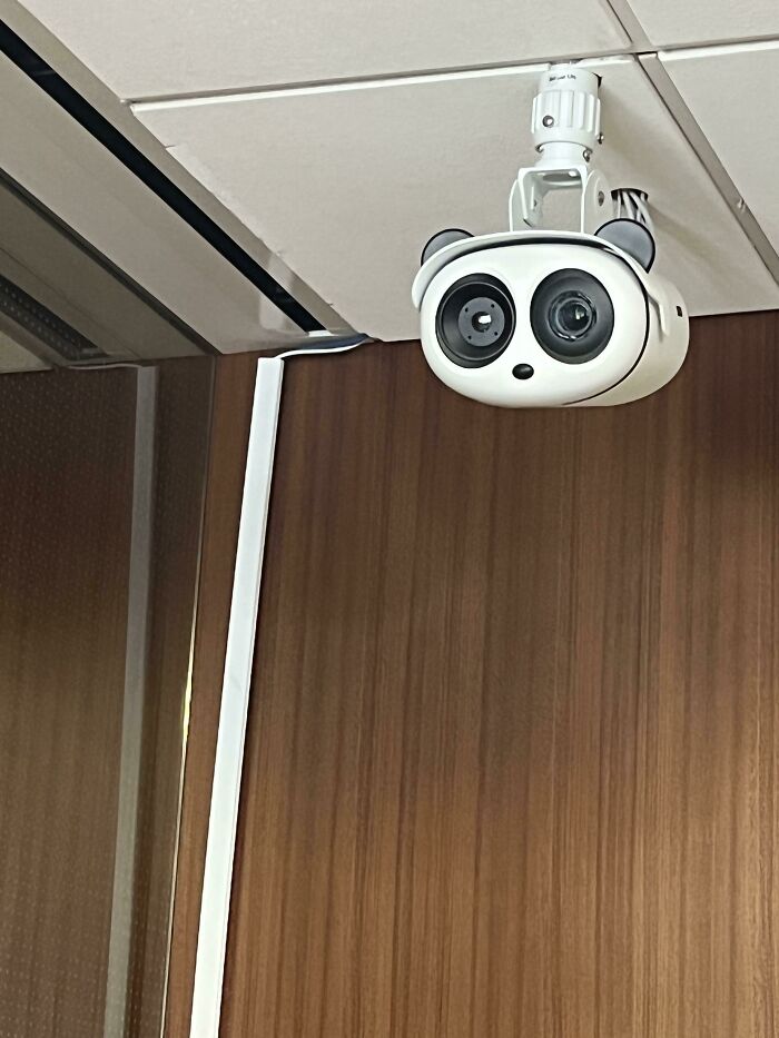 Esta cámara parece un panda sorprendido