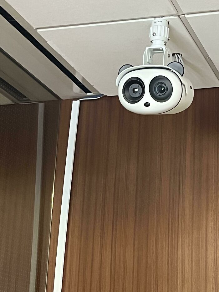 The Camera In The Er Looks Like A Surprised Panda