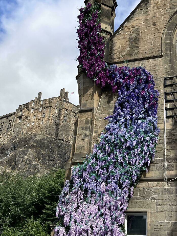 Flowers On A Wall That Look Like A Gradient