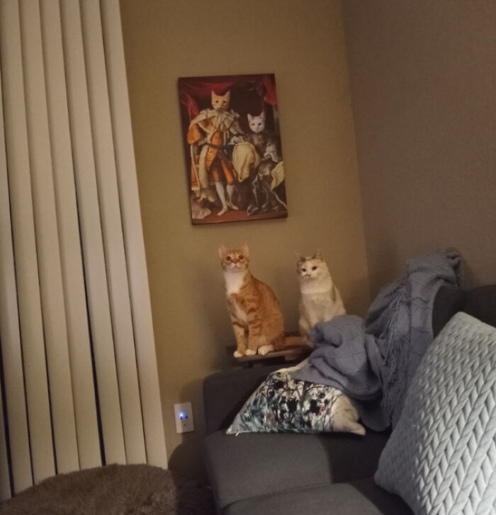My Cats Sitting In Front Of The Portrait We Had Made Of Them