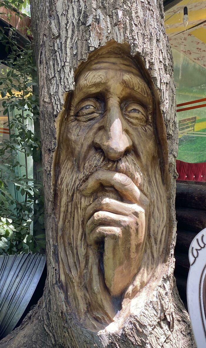A Face Carved Into A Tree In Hamedan (Iran)