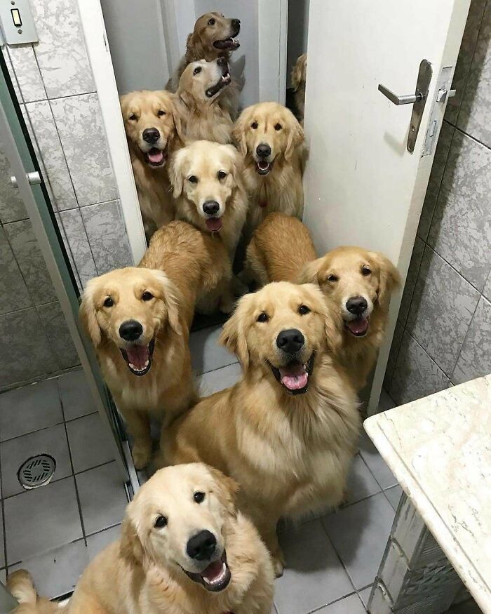 Hi, We Heard You Needed Some Help In Here