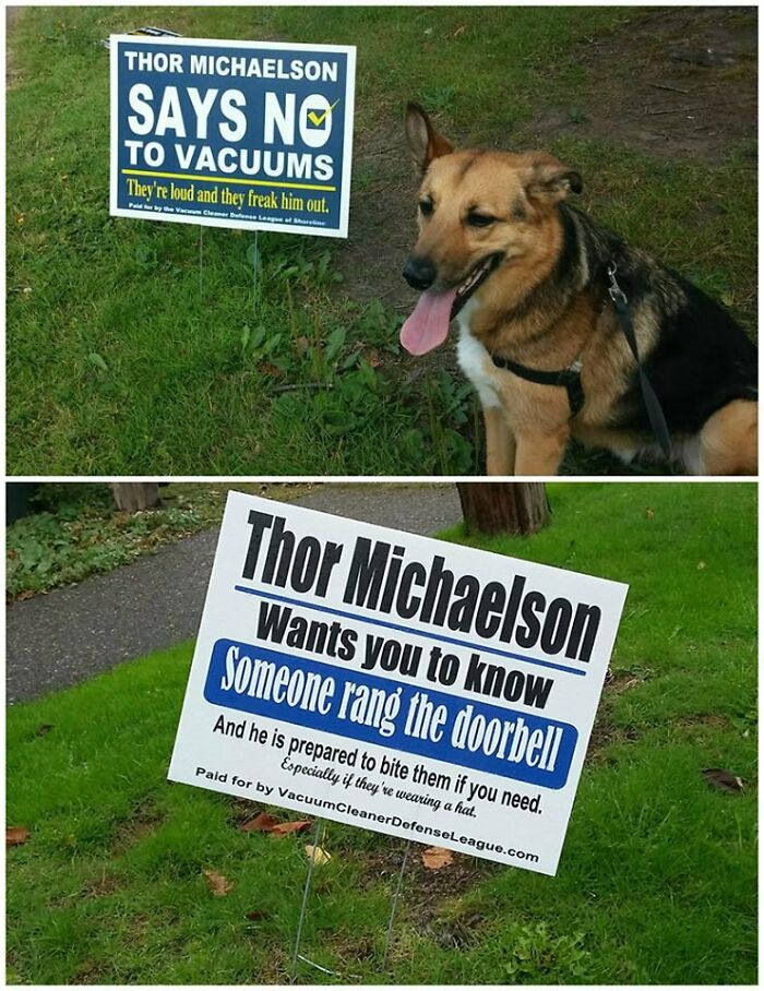 I Can't Wait For Election Season, So I Can See The New Signs