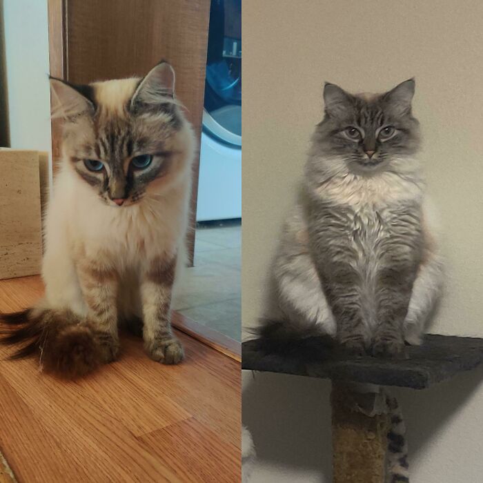 Casper Sure Has Changed In Three Months!
