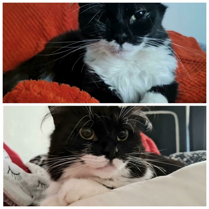 Before And After... Oh So Much Fluffier