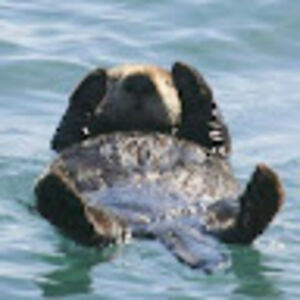 smeagolbencleveland avatar