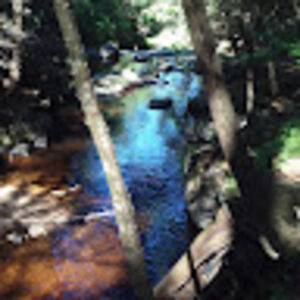 melissagaudet avatar