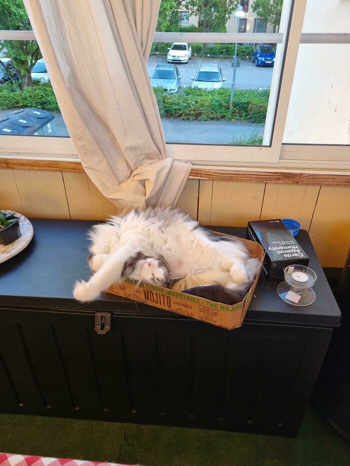 I Just Don't See How This Can Be Comfortable