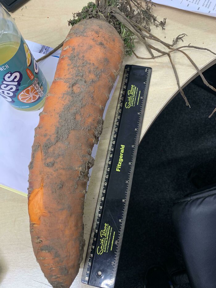 Esta zanahoria 