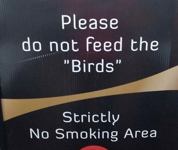 "Birds"