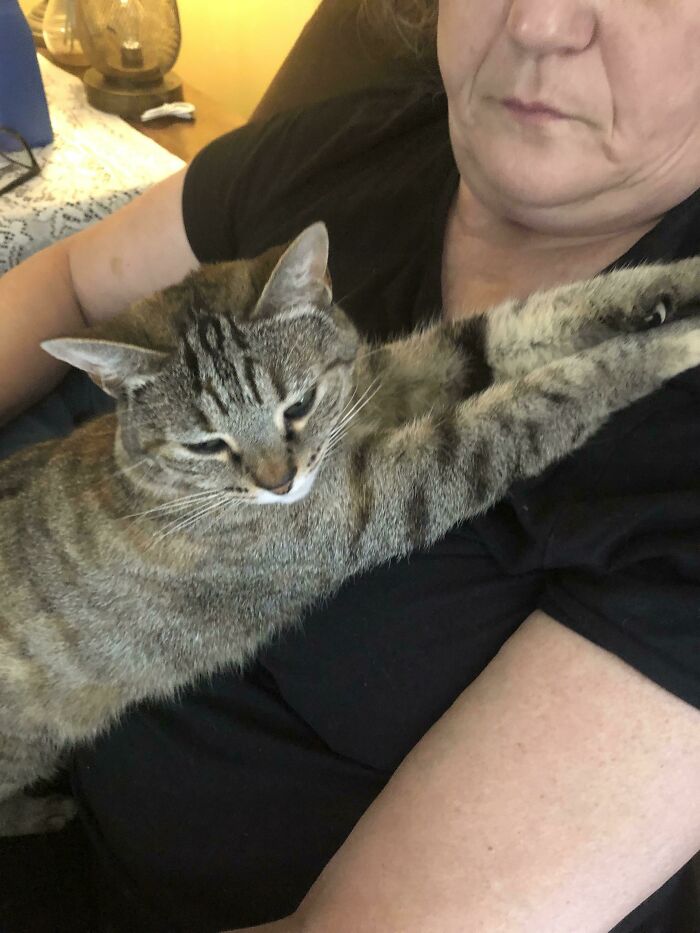 When I Adopted My Cat I Never Thought She’d Leave Me For My Mother.