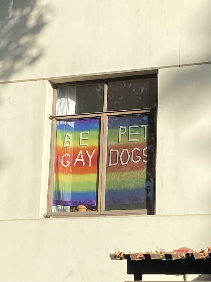 Be Pet Gay Dogs