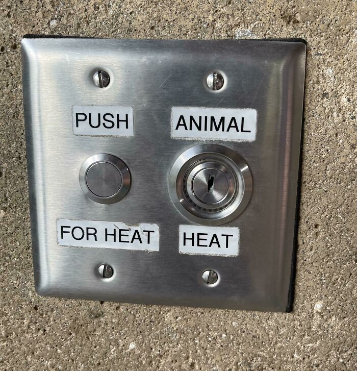 Push Animal For Heat Heat!