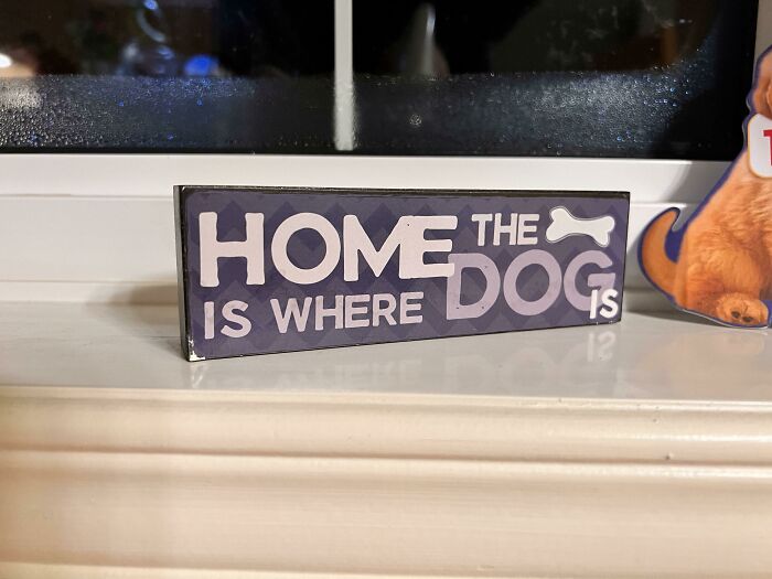 Home The Is Where Dog Is