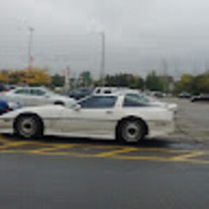 robertlongwill avatar