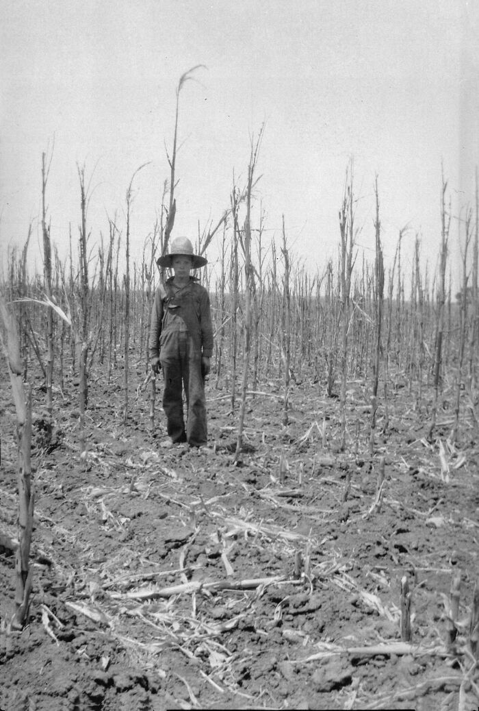 Mi abuelo. 1933. En un campo de maíz que plantó y que fue destruido por las langostas