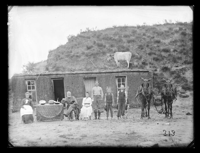 Rarely Did Photographers Make It To Frontier Families But When They Did Families Wanted To Show How Well They Were Doing Out West By Stripping The House & Pose For The Camera