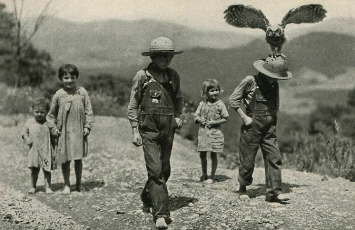 Un niño y su búho, 1933