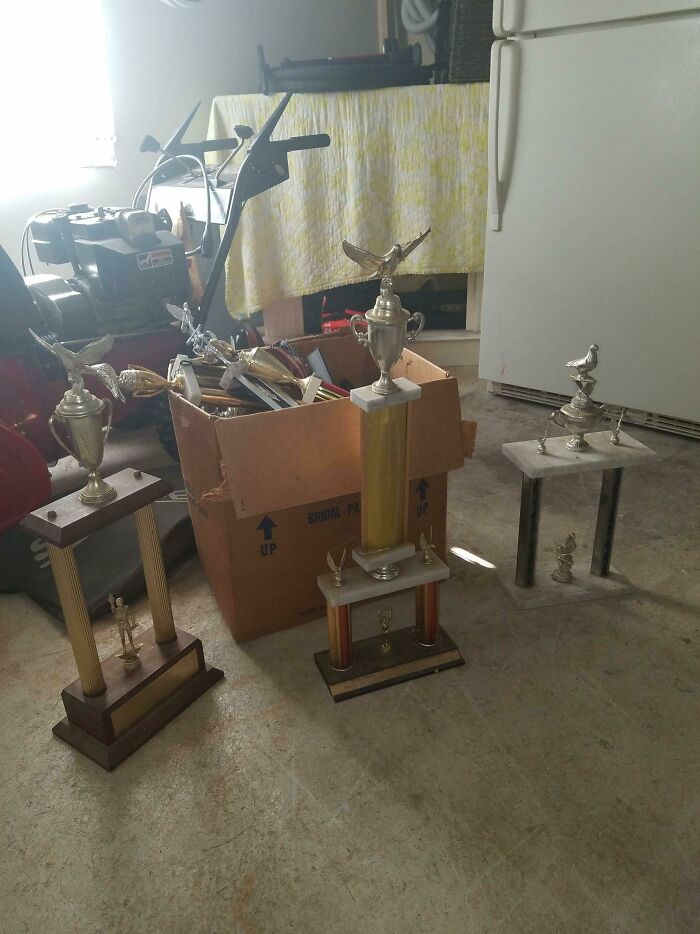 Pigeon Racing Trophies Found In The Basement Of A House I'm Renovating