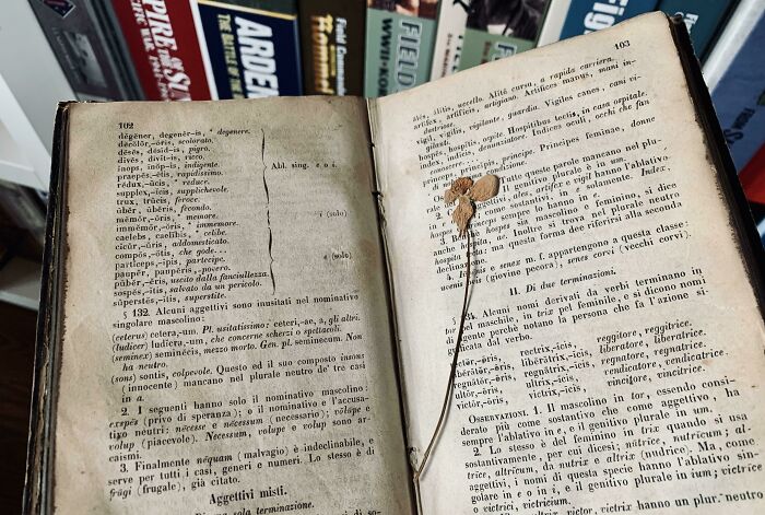 Hay una flor seca en este libro de latín de 165 años que encontré en nuestro ático