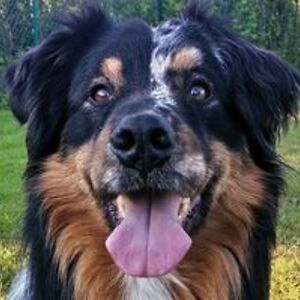 silke_juengling avatar