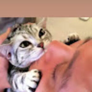 cooked_makeup_jennifer avatar