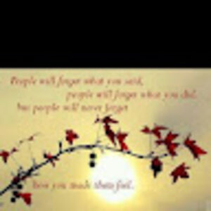 tramonicamcclendon avatar