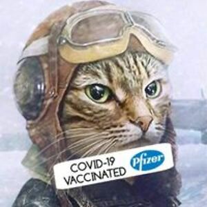 mark_sheffield avatar